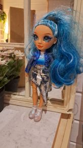 Rainbow high doll skyler & Wardrobe