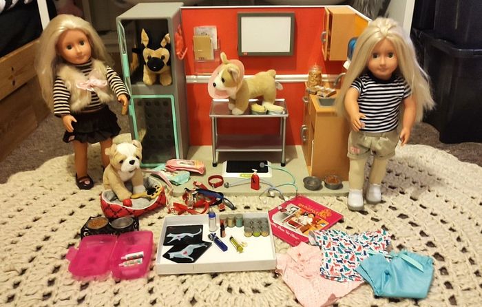Our Generation Vet Clinic Set For Sale in Carrickmines, Dublin from basia