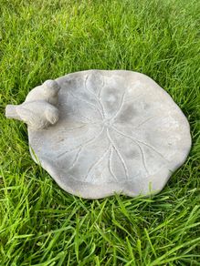 Bird Bath