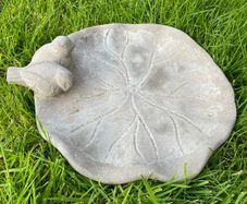 Bird Bath
