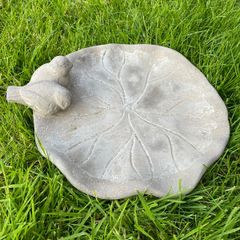 Bird Bath