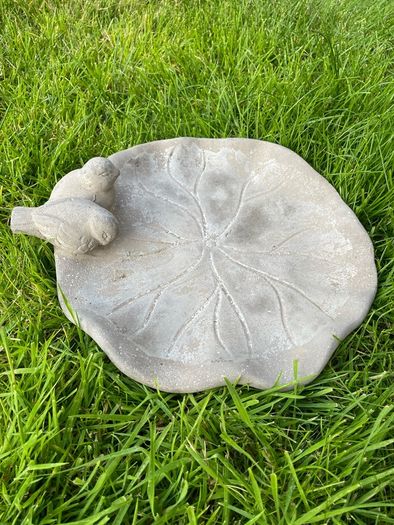 Bird Bath