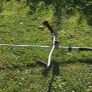 Strimmer Image 8