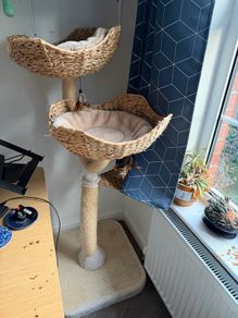 cat tree
