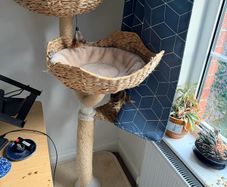 cat tree