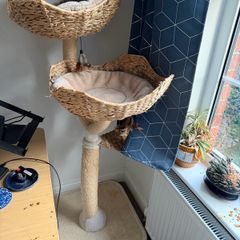 cat tree
