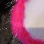 halloween  cat costume Image 4