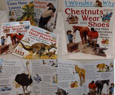 I Wonder Why Kingfisher educational Books
