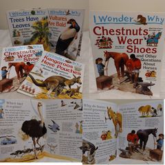 I Wonder Why Kingfisher educational Books