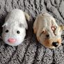 Mice and Hamsters Image 4