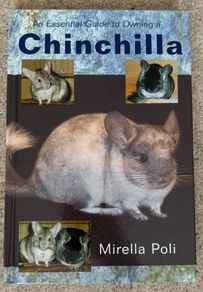 Essentials of Owning a Chinchilla