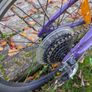 frog bike 55 Image 4