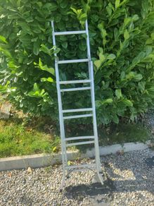 stepladder