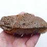 Natural Amethyst Geode Quartz Crystal Cluster Image 6
