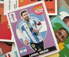 Panini World Cup Stickers
