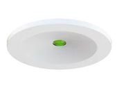 Emergency Down Light