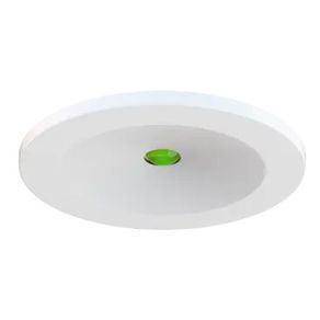 Emergency Down Light