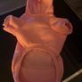 Pink Dog Hoodie. Size 4-5Kg. NEW. Never used Image 4