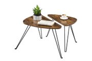 Coffee Tables Set of 2 Side Tables