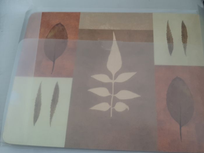 4 new place mats in wrapping