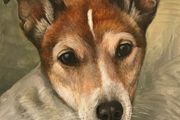 Custom Pet Portrait Paintings