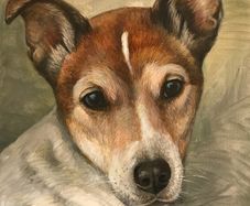 Custom Pet Portrait Paintings