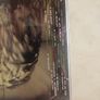 Kings Of Leon CD+DVD  - Only By The Night Image 2