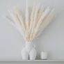 White Pampas Grass Fluffy Small Pampas Grass, Dried Pampass Grass Artificial Flowers Plant Decorative Flora For Vase, White Boho Decor Home Bedroom Decorations, Pompous Grass 30 Stems 45cm/17.7 Image 2