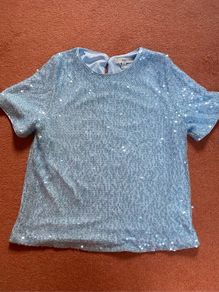 Powder Blue Sequin Short Sleeve Top