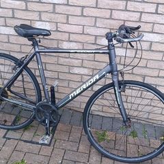 Hybrid bike