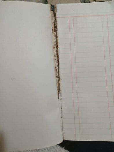 Vtg.  Leatherbound Accounts Journal