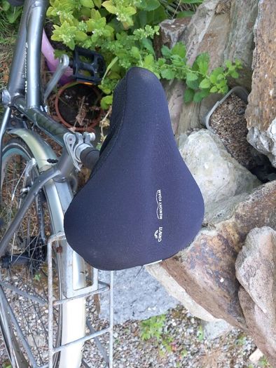 Bike Adult