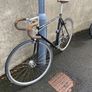 Fuji Feather size M/L Image 5