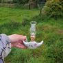 Porcelain oil lamp postage possible Image 2