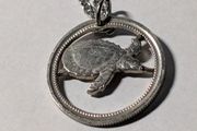 Turtle coin