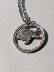Turtle coin