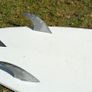 HiFly Seven Ten Mini-Mal Surfboard Image 3