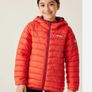 Regatta kids light hooded padded jacket 14 Yrs Image 2