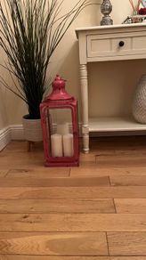 Pink lantern
