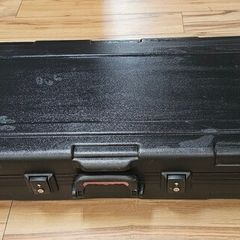 Gator keyboard case