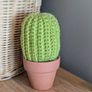 Handmade (crocheted) cactus Image 2