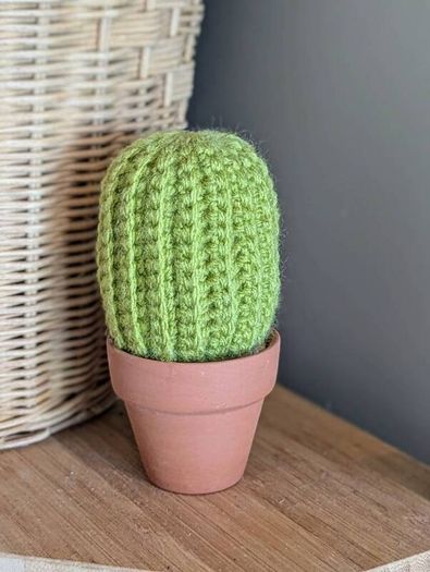 Handmade (crocheted) cactus