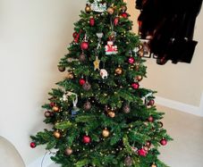 6ft Christmas Tree