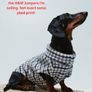 Premium bundle of H and M dog accessories in excellent condition. Perfect for a small dog. Image 7