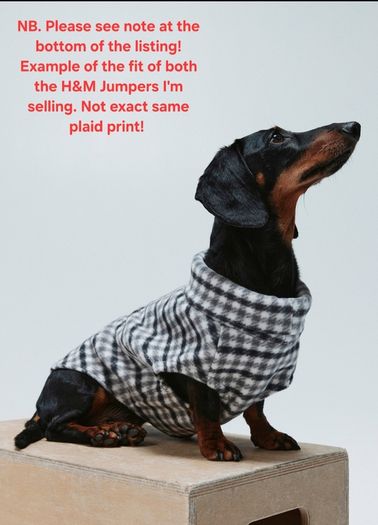 Premium bundle of H and M dog accessories in excellent condition. Perfect for a small dog.