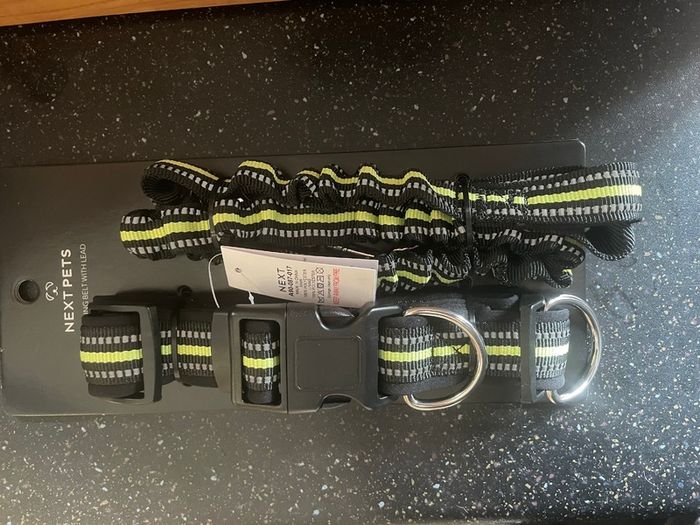 Hands Free Dog Jogging Leash Reflective With Shock Absorber