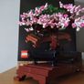 LEGO Botanical Collection 10281 Bonsai Tree Image 9