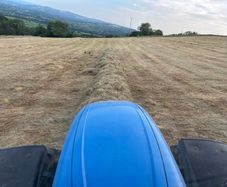 Hay