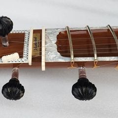 Sitar Teakwood VK style Shahidali