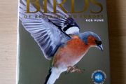 DK Birds